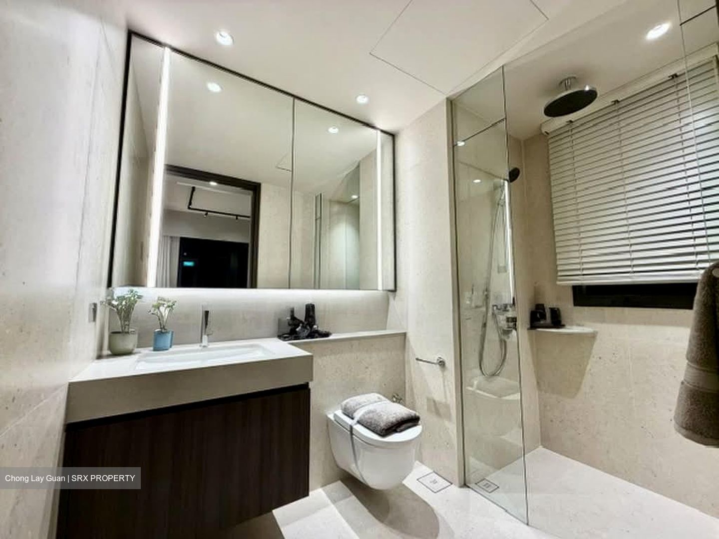 Hudson Place Residences (U/C) (D5), Apartment #595348621